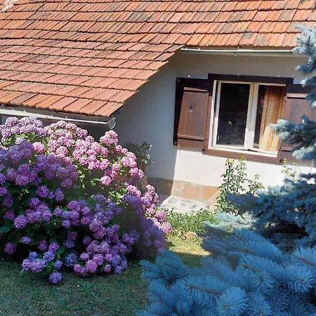 Apartman Nebojsa رودنيك المظهر الخارجي الصورة