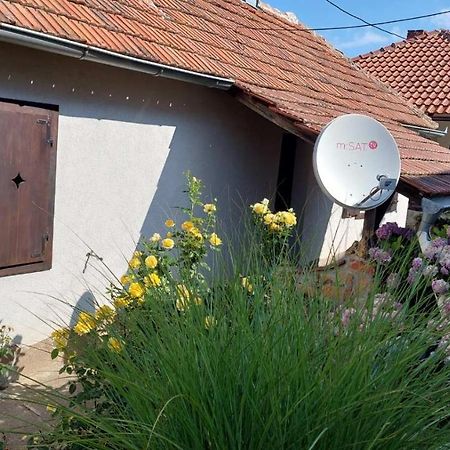 Apartman Nebojsa رودنيك المظهر الخارجي الصورة