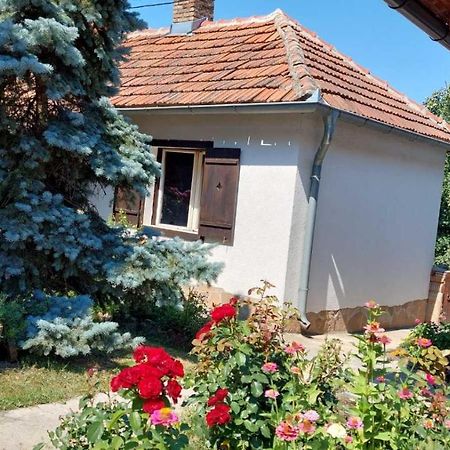 Apartman Nebojsa رودنيك المظهر الخارجي الصورة