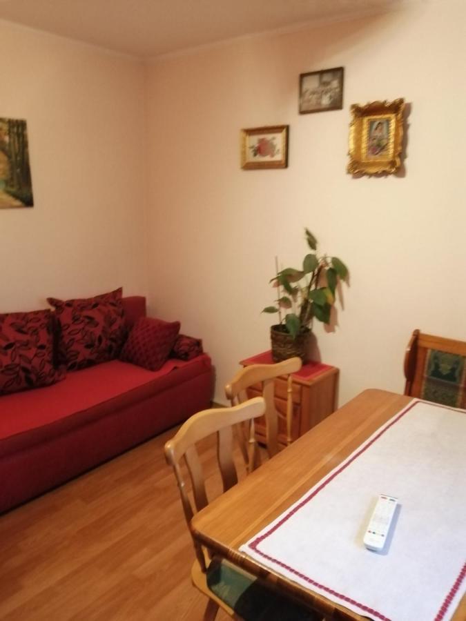 Apartman Nebojsa رودنيك المظهر الخارجي الصورة