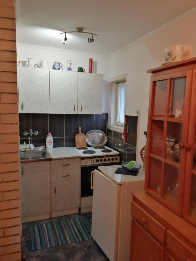 Apartman Nebojsa رودنيك المظهر الخارجي الصورة