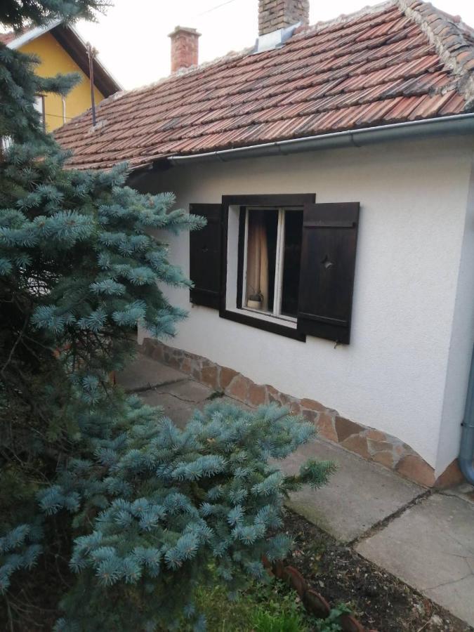 Apartman Nebojsa رودنيك المظهر الخارجي الصورة