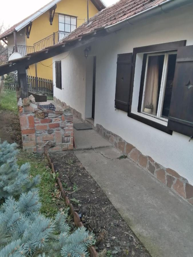 Apartman Nebojsa رودنيك المظهر الخارجي الصورة