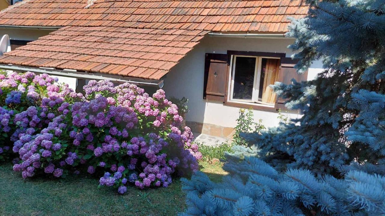 Apartman Nebojsa رودنيك المظهر الخارجي الصورة