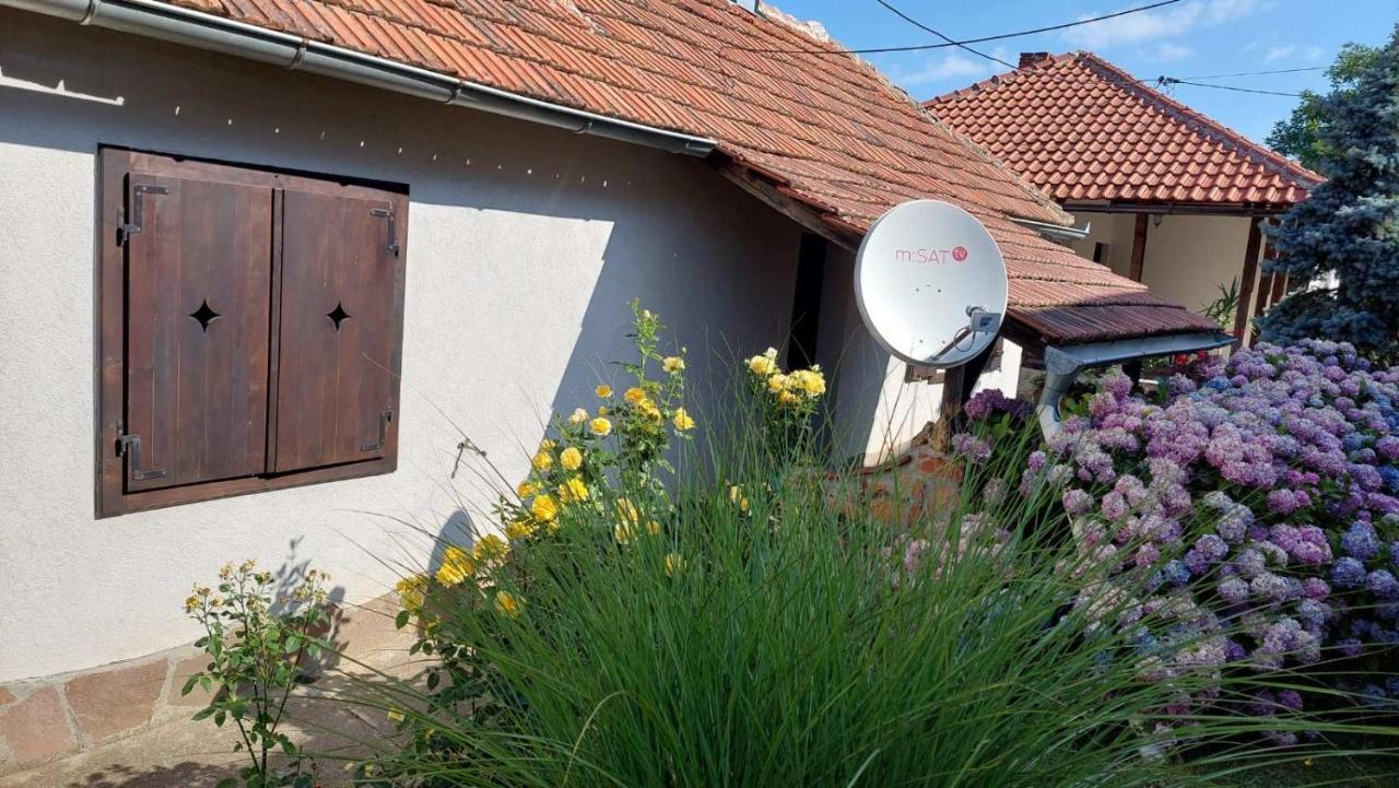 Apartman Nebojsa رودنيك المظهر الخارجي الصورة