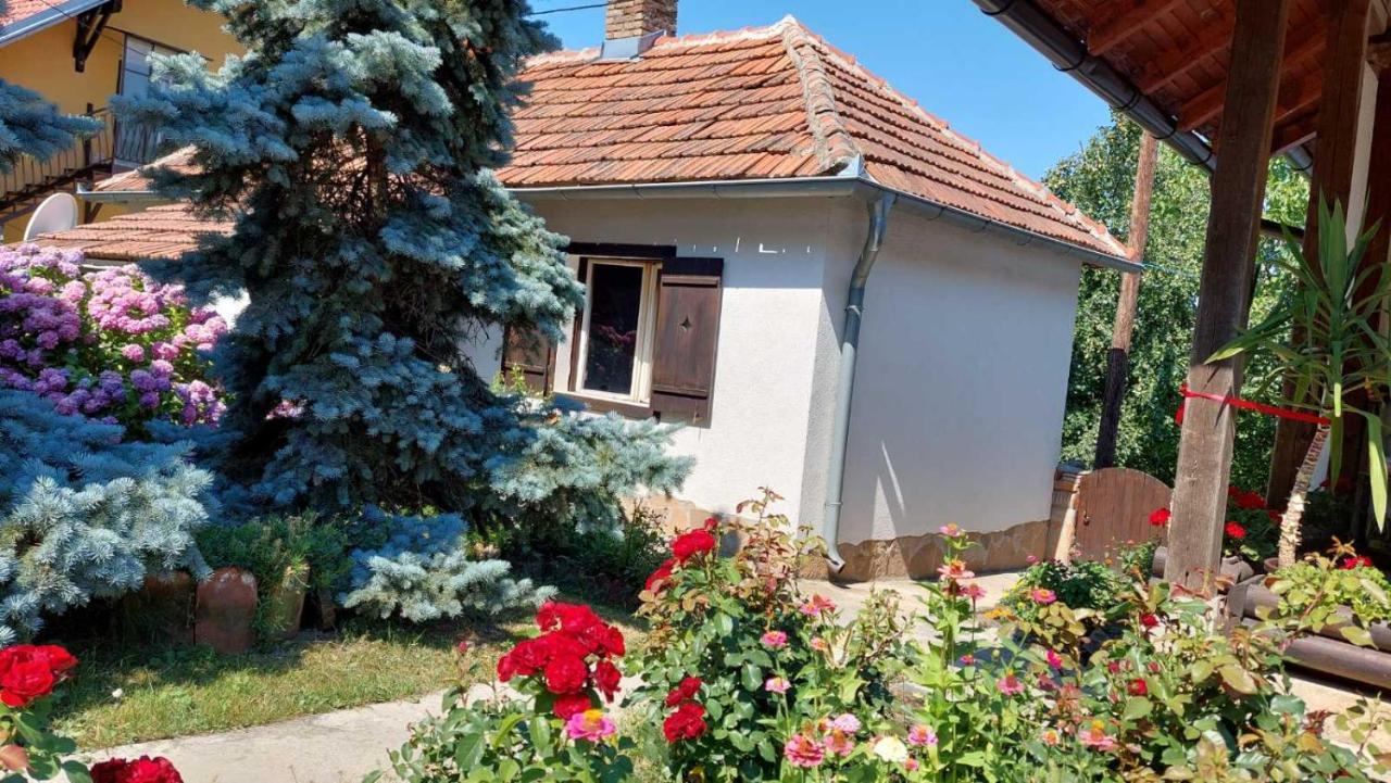 Apartman Nebojsa رودنيك المظهر الخارجي الصورة