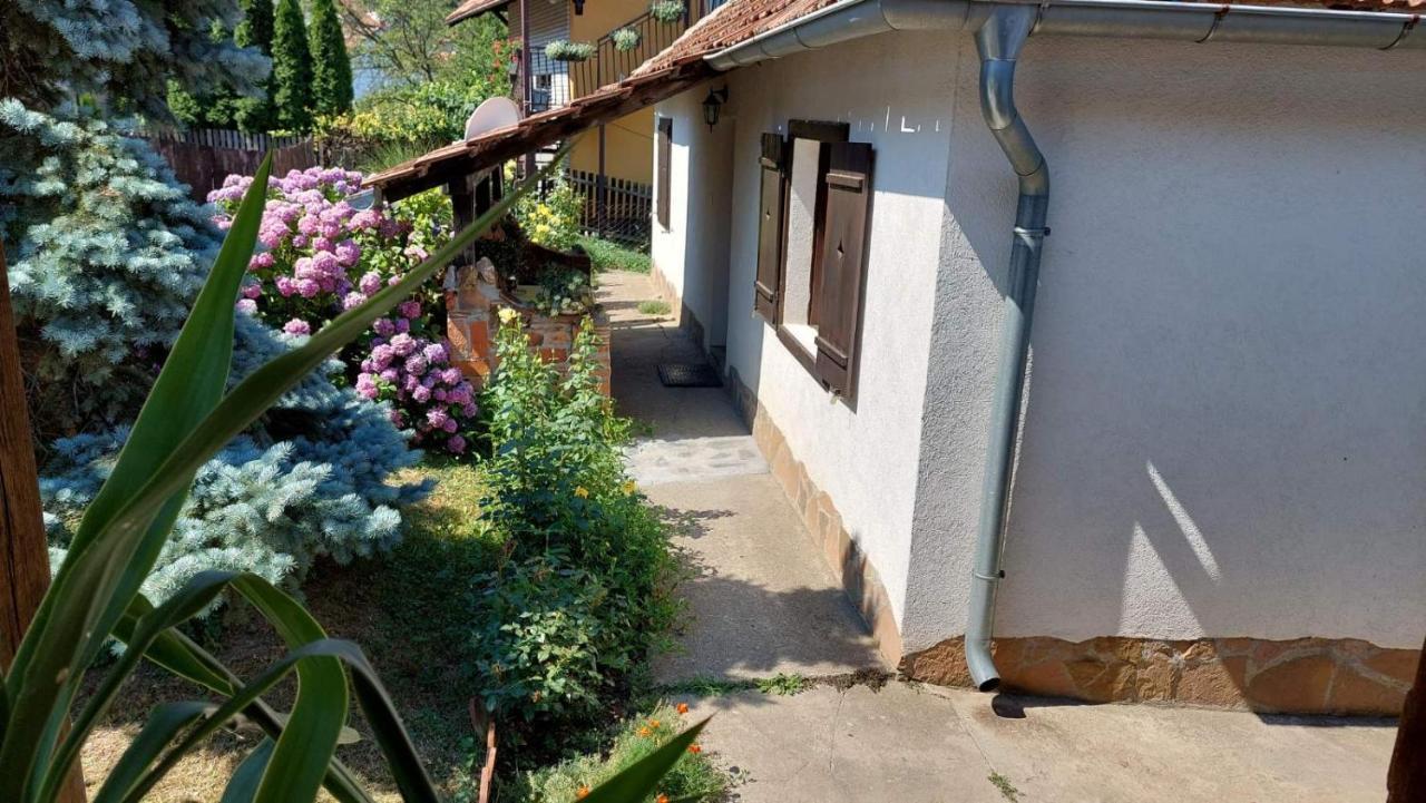 Apartman Nebojsa رودنيك المظهر الخارجي الصورة