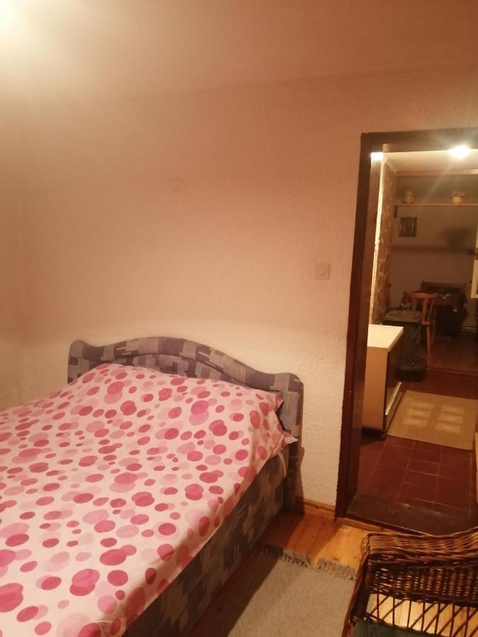 Apartman Nebojsa رودنيك المظهر الخارجي الصورة