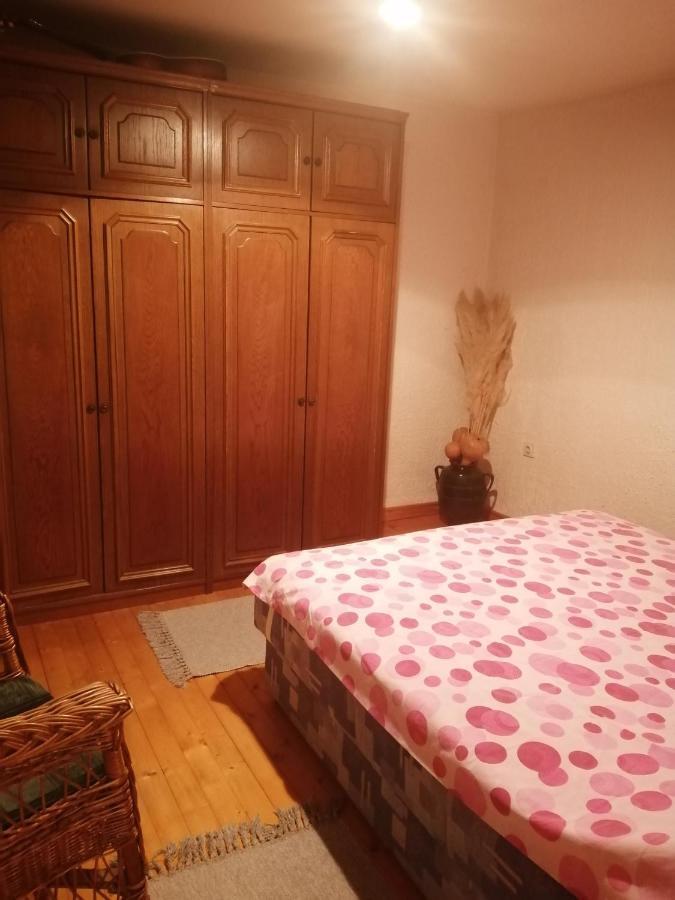 Apartman Nebojsa رودنيك المظهر الخارجي الصورة